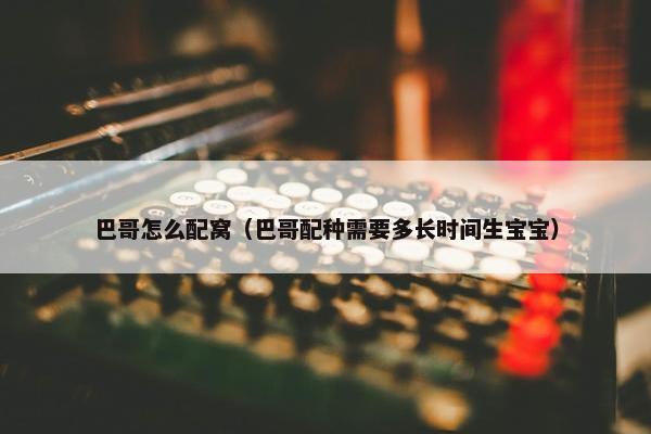 巴哥怎么配窝（巴哥配种需要多长时间生宝宝）