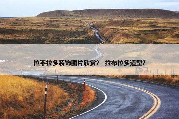 拉不拉多装饰图片欣赏？ 拉布拉多造型？