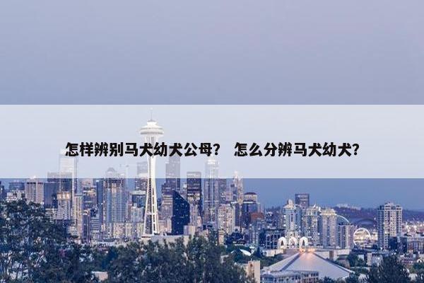 怎样辨别马犬幼犬公母？ 怎么分辨马犬幼犬？