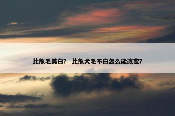 比熊毛美白？ 比熊犬毛不白怎么能改变？