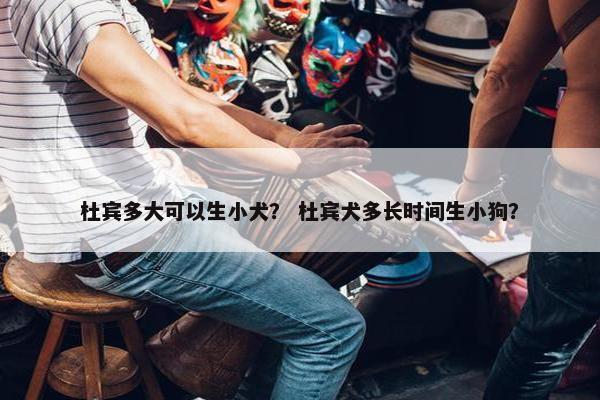 杜宾多大可以生小犬？ 杜宾犬多长时间生小狗？