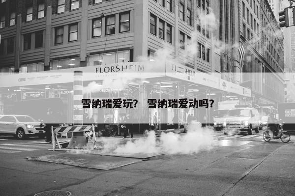 雪纳瑞爱玩？ 雪纳瑞爱动吗？