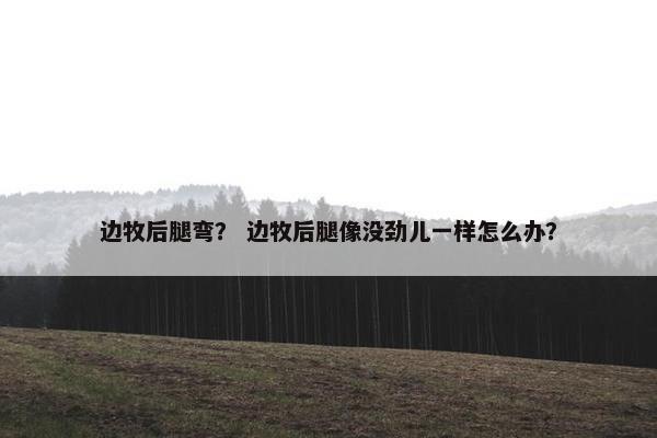 边牧后腿弯？ 边牧后腿像没劲儿一样怎么办？