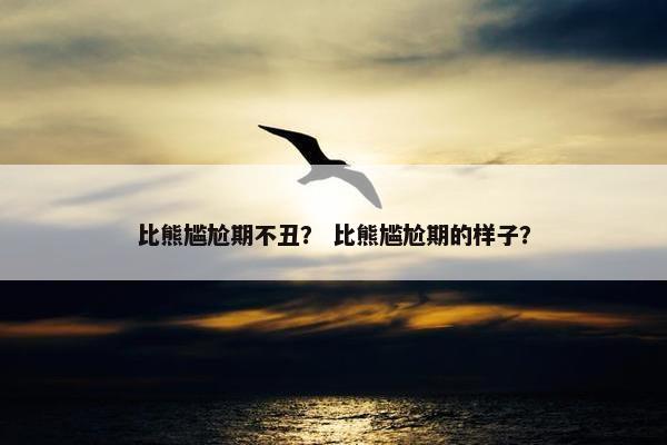 比熊尴尬期不丑？ 比熊尴尬期的样子？