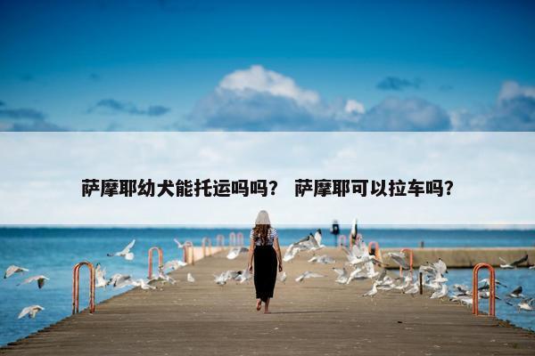 萨摩耶幼犬能托运吗吗？ 萨摩耶可以拉车吗？