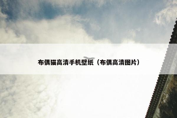 布偶猫高清手机壁纸（布偶高清图片）