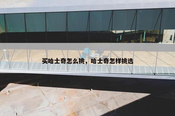 买哈士奇怎么挑，哈士奇怎样挑选