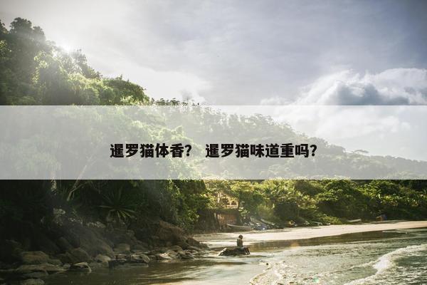 暹罗猫体香？ 暹罗猫味道重吗？