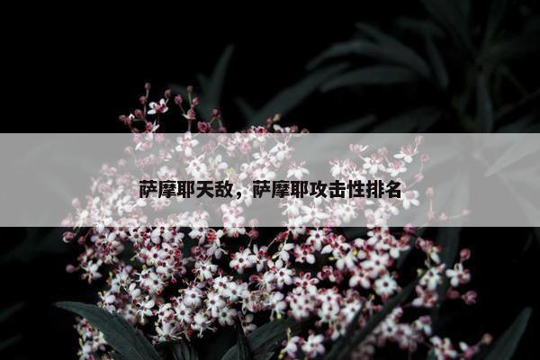 萨摩耶天敌，萨摩耶攻击性排名