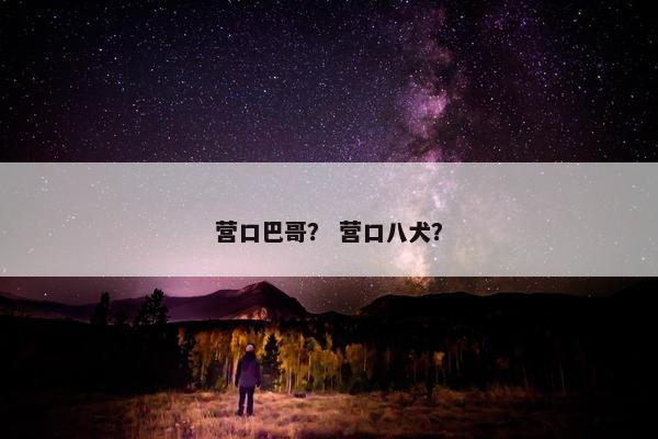 营口巴哥？ 营口八犬？