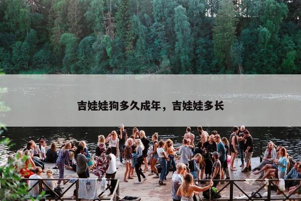吉娃娃狗多久成年，吉娃娃多长
