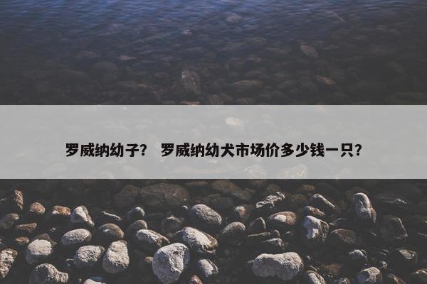 罗威纳幼子？ 罗威纳幼犬市场价多少钱一只？