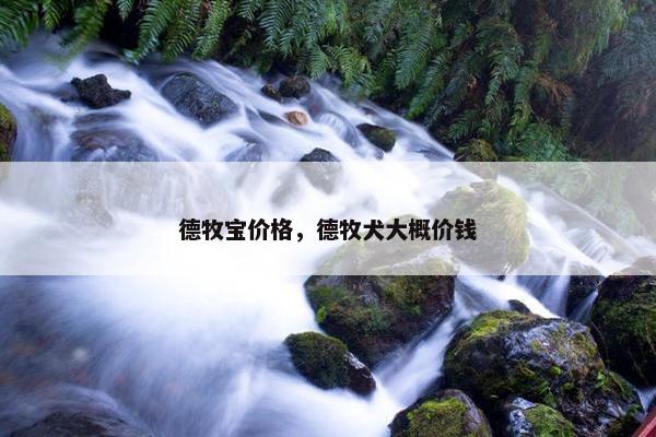 德牧宝价格，德牧犬大概价钱