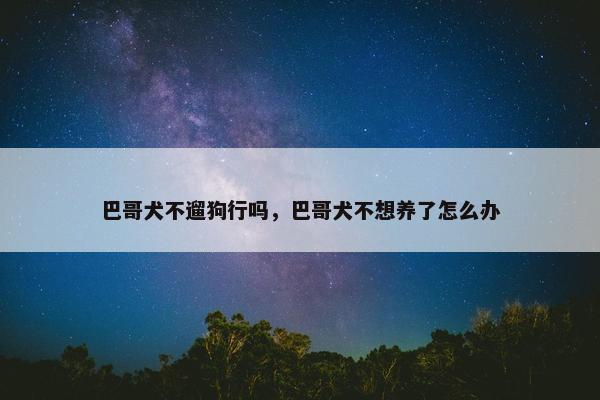 巴哥犬不遛狗行吗，巴哥犬不想养了怎么办