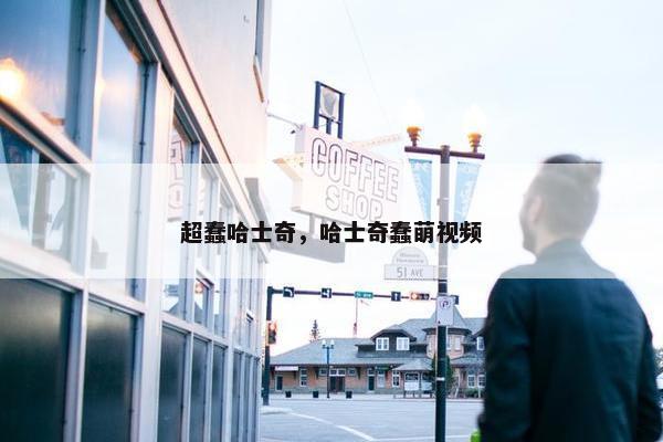 超蠢哈士奇，哈士奇蠢萌视频