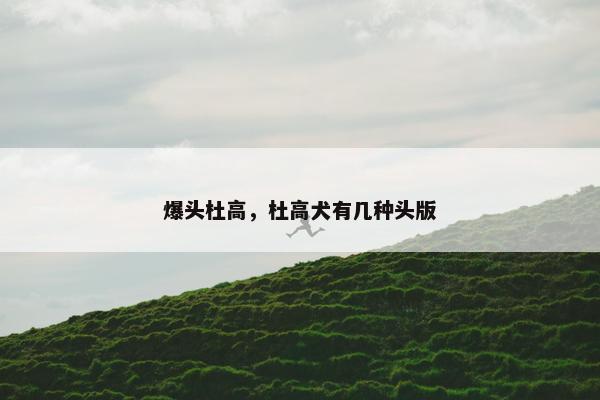 爆头杜高，杜高犬有几种头版