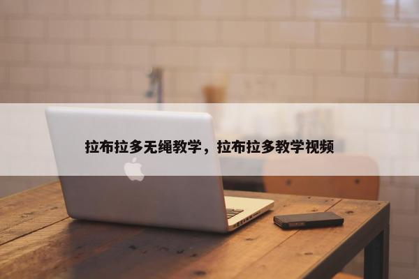 拉布拉多无绳教学，拉布拉多教学视频