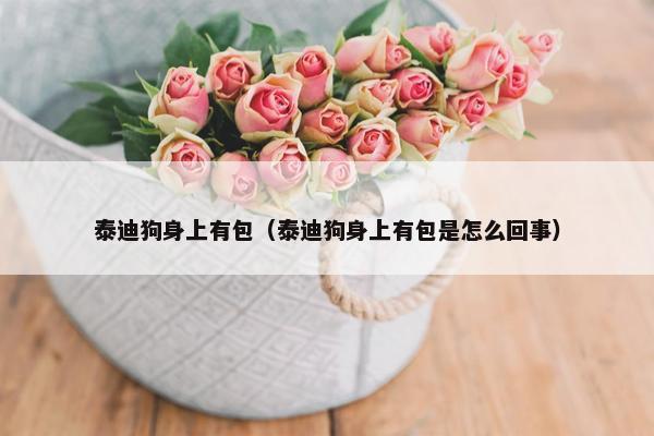 泰迪狗身上有包（泰迪狗身上有包是怎么回事）