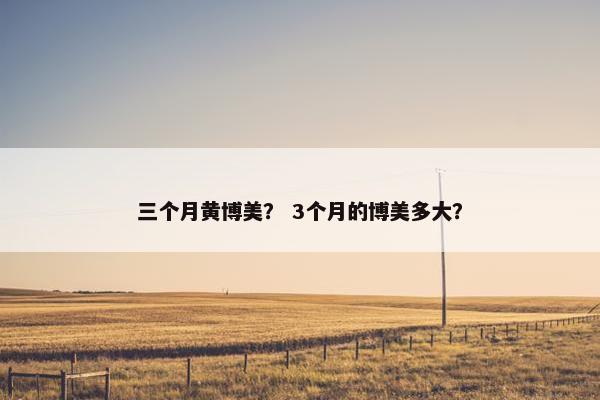 三个月黄博美？ 3个月的博美多大？