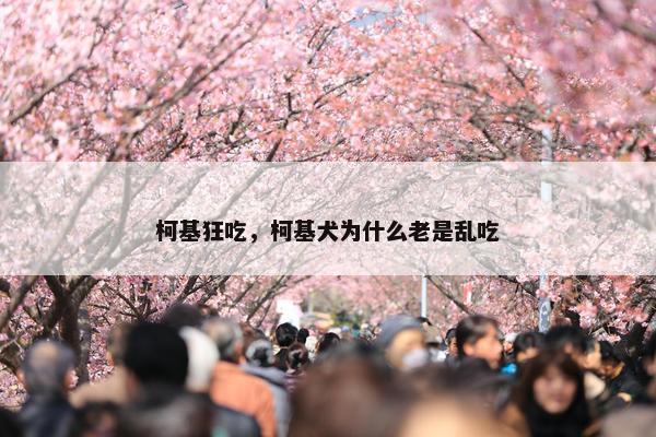 柯基狂吃，柯基犬为什么老是乱吃