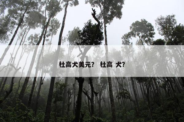 杜高犬美元？ 杜高 犬？