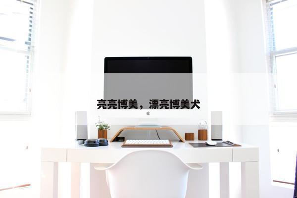 亮亮博美，漂亮博美犬