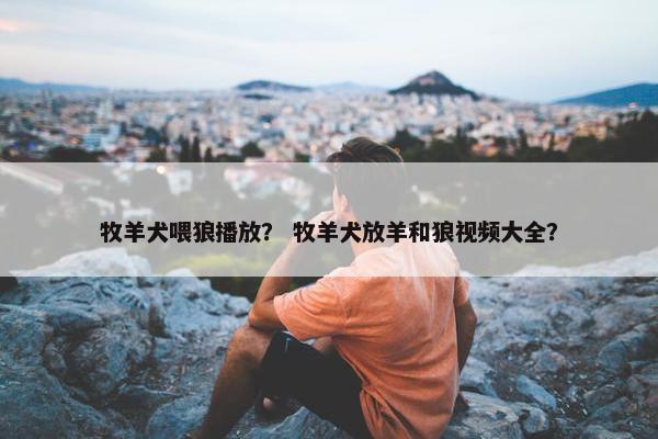 牧羊犬喂狼播放？ 牧羊犬放羊和狼视频大全？