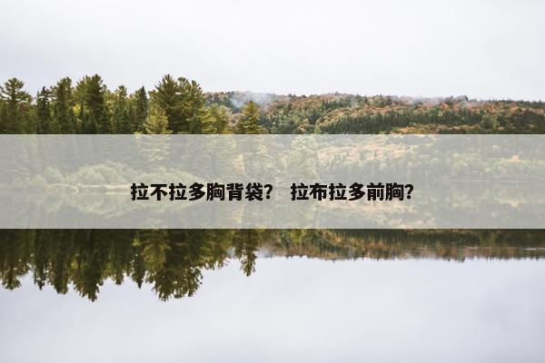 拉不拉多胸背袋？ 拉布拉多前胸？