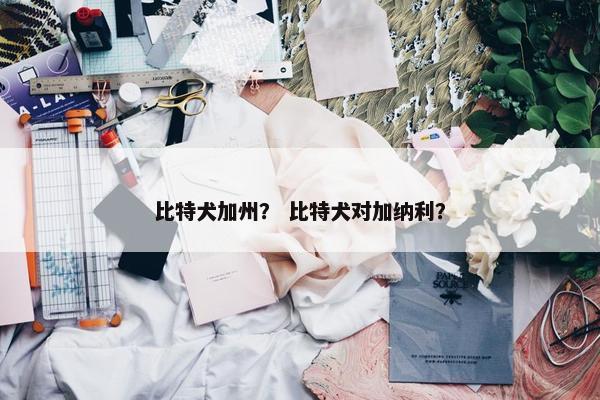 比特犬加州？ 比特犬对加纳利？