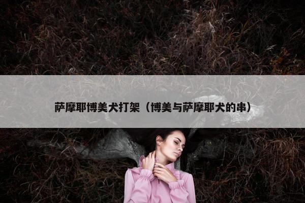 萨摩耶博美犬打架（博美与萨摩耶犬的串）