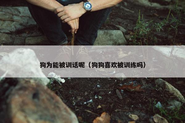 狗为能被训话呢（狗狗喜欢被训练吗）