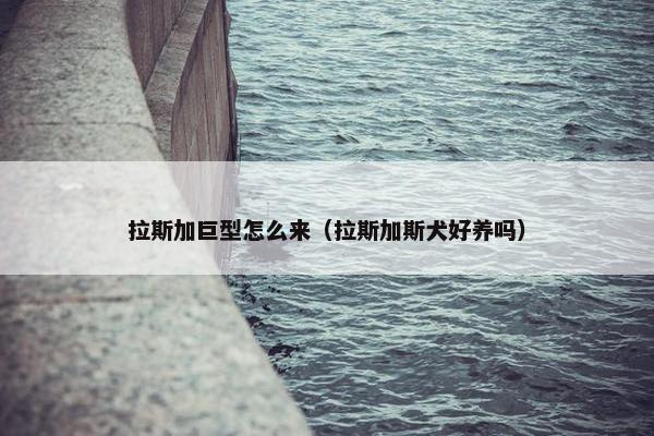 拉斯加巨型怎么来（拉斯加斯犬好养吗）