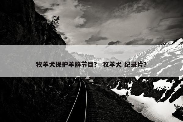 牧羊犬保护羊群节目？ 牧羊犬 纪录片？