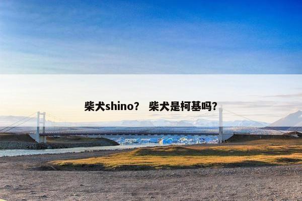 柴犬shino？ 柴犬是柯基吗？