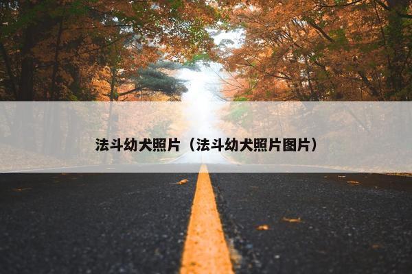 法斗幼犬照片（法斗幼犬照片图片）