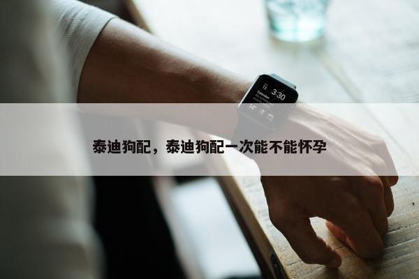 泰迪狗配，泰迪狗配一次能不能怀孕
