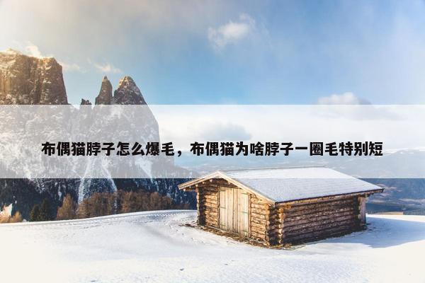布偶猫脖子怎么爆毛，布偶猫为啥脖子一圈毛特别短