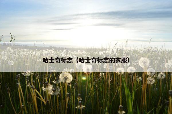 哈士奇标志（哈士奇标志的衣服）