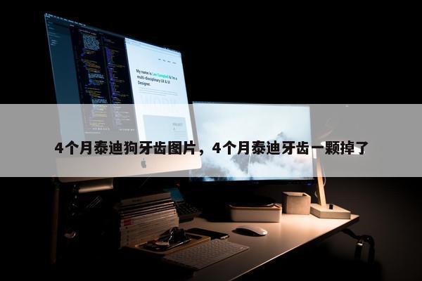 4个月泰迪狗牙齿图片，4个月泰迪牙齿一颗掉了