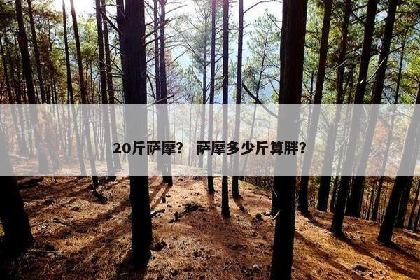 20斤萨摩？ 萨摩多少斤算胖？