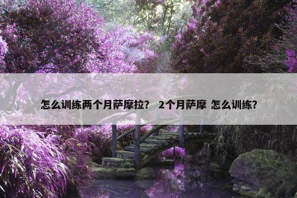 怎么训练两个月萨摩拉？ 2个月萨摩 怎么训练？