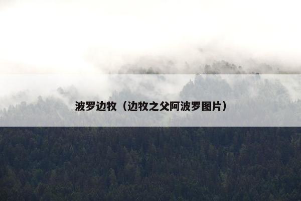 波罗边牧（边牧之父阿波罗图片）