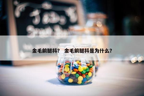 金毛前腿抖？ 金毛前腿抖是为什么？