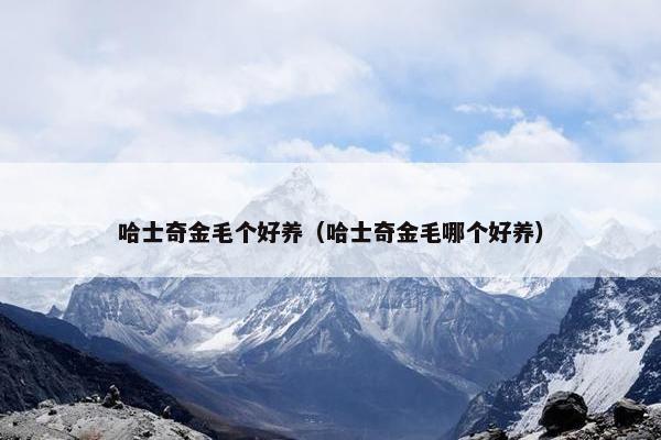 哈士奇金毛个好养（哈士奇金毛哪个好养）