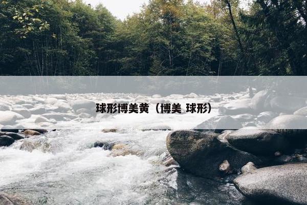 球形博美黄（博美 球形）