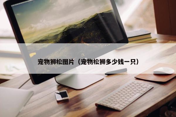 宠物狮松图片（宠物松狮多少钱一只）