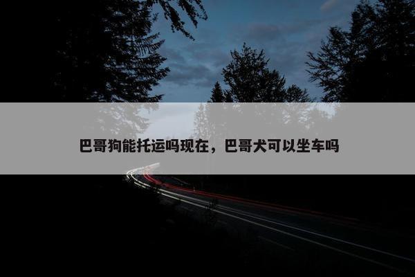 巴哥狗能托运吗现在，巴哥犬可以坐车吗