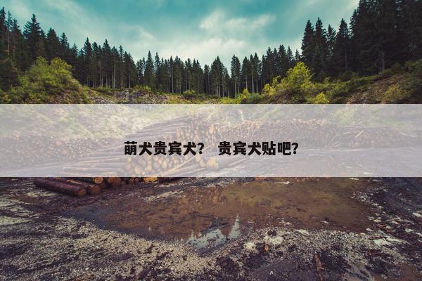 萌犬贵宾犬？ 贵宾犬贴吧？