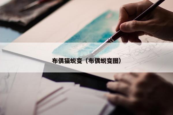 布偶猫蜕变（布偶蜕变图）