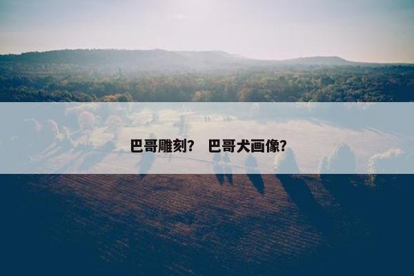 巴哥雕刻？ 巴哥犬画像？